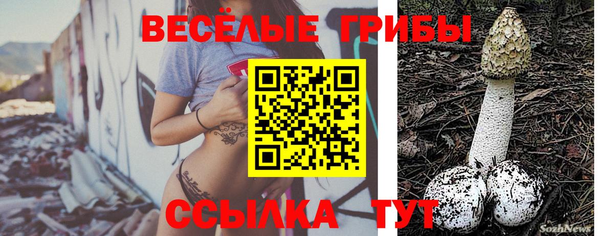 Псилоцибиновые грибы GOLDEN TEACHER Свободный