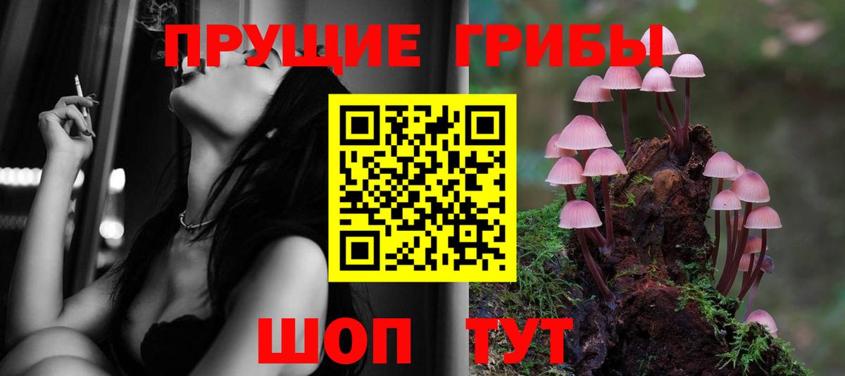 Свободный  Галлюциногенные грибы MAGIC MUSHROOMS  Вход с VPN  Псилоцибиновые грибы Magic Shrooms 